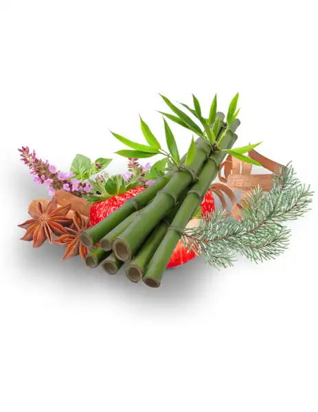Black Bamboo Clean Fragrance - Clean Fragrances